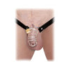 FETISH FANTASY EXTREME EXTREME CHASTITY BELT SILVER