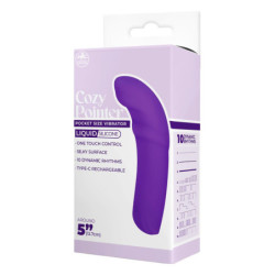 NMC 5 INCH SILICONE 10 FUNCTION VIBRATOR PURPLE