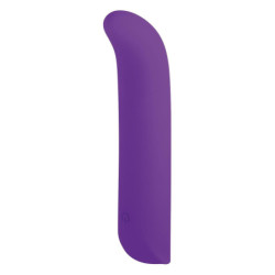 NMC 5 INCH SILICONE 10 FUNCTION VIBRATOR PURPLE