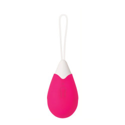 EVOLVED RECHARGEABLE REMOTE CONTROL EGG PINK