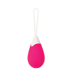 EVOLVED RECHARGEABLE REMOTE CONTROL EGG PINK