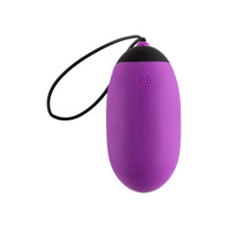 VIRGITE G6 RECHARGEABLE EGG AND REMOTE G6 PURPLE