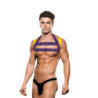 ENVY LOGO HARNESS BLUE YELLOW, M/L