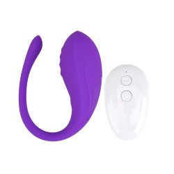 Loving Joy op afstand bediende Love Egg Vibrator