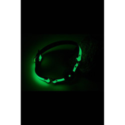 RADIANT BALL GAG GLOW IN THE DARK GREEN