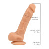 Loving Joy 8 Inch Realistische Siliconen Dildo met Zuignap en Ballen Vanille