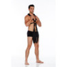 WHIPSMART BODY SWING BLACK