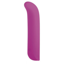 NMC 5 INCH SILICONEN 10 FUNCTIES VIBRATOR ROZE