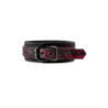 BLAZE DELUXE COLLAR & LEASH