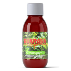 GUARANA ZN+ SPECIAL 100ML