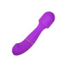 Loving Joy DUA verwisselbare vibrator met 2 opzetstukken