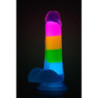 NEO ELITE GLOW IN THE DARK RAINBOW RAVE 6.5 INCH SILICONE DUAL DENSITY DILDO MULTICOLORED